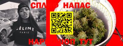 apvp Можга