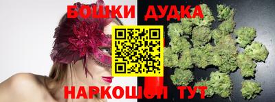 apvp Можга