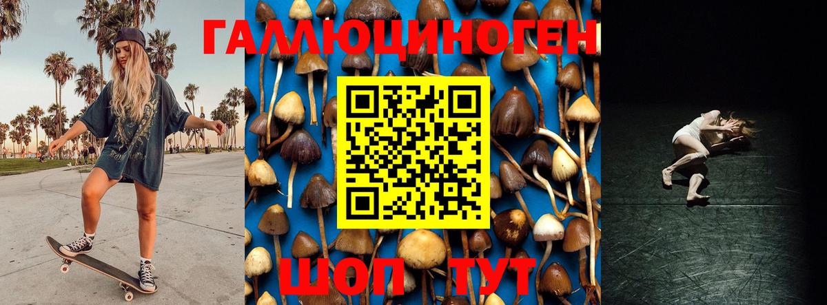 Галлюциногенные грибы Cubensis Чусовой