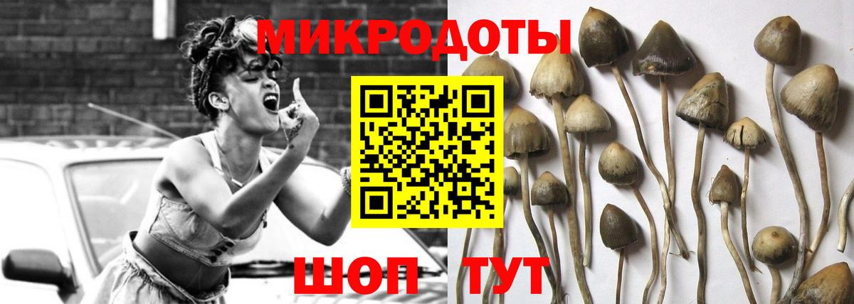 Псилоцибиновые грибы GOLDEN TEACHER  Вход с VPN  Чусовой 